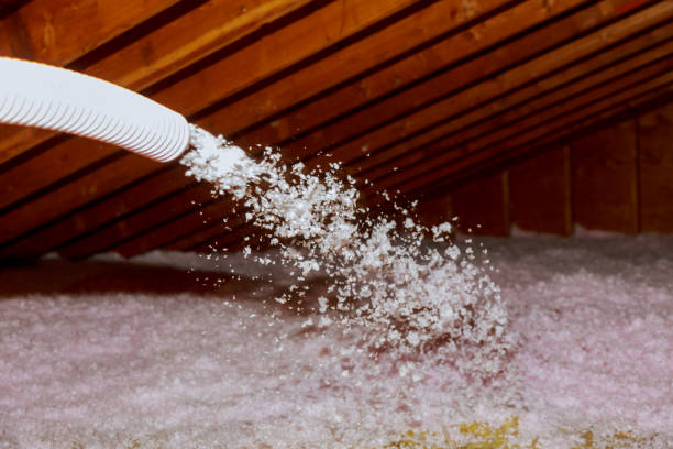 Professional Insulation Contractor in Vamo, FL