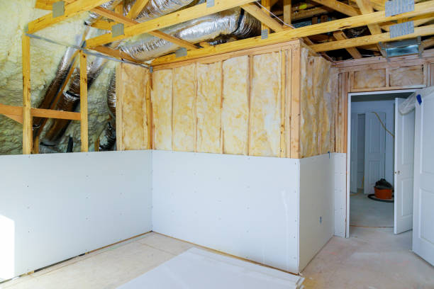 Best Residential Insulation in Vamo, FL
