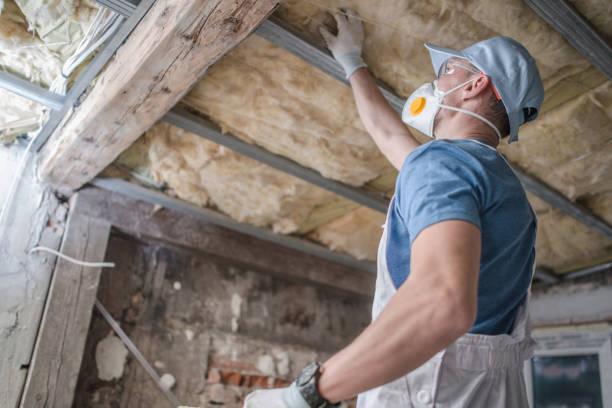 Best Blown-in Insulation in Vamo, FL