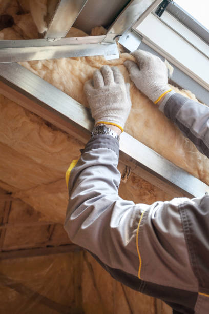 Best Eco-Friendly Insulation in Vamo, FL