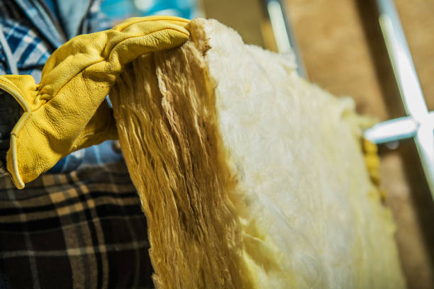 Types of Insulation We Offer in Vamo, FL