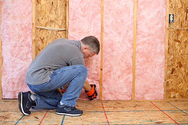Best Spray Foam Insulation in Vamo, FL