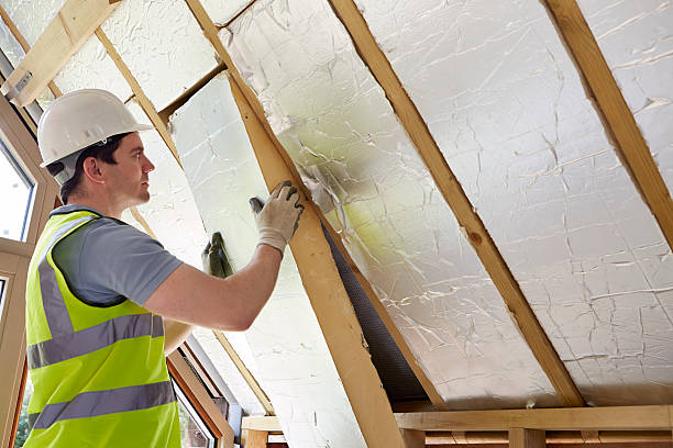 Best DIY Insulation Kits and Guidance in Vamo, FL