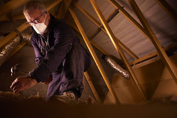 Best Energy Efficiency Insulation in Vamo, FL