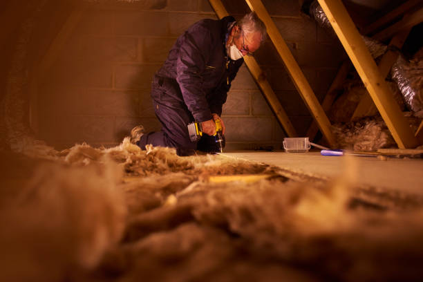Best Blown-in Insulation in Vamo, FL